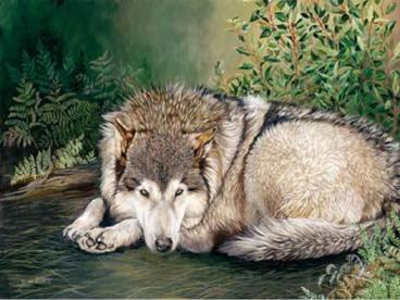 Le Loup