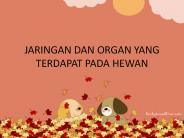 Jaringan hewan dan tumbuhan