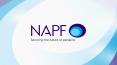 NAPF STEWARDSHIP ACCOUNTABILITY FORUM PowerPoint PPT Presentation