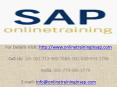 SAP PP(Production Planning) Online Training and Placement - Online Training in SAP PowerPoint PPT Presentation