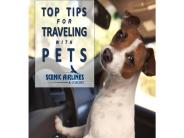 Top Tips For Traveling With Pets