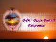 OER: Open Ended  Response PowerPoint PPT Presentation