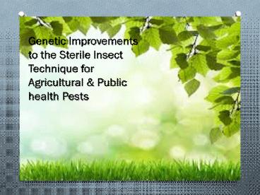 Genetic Improvements to the Sterile Insect Technique for Agricultural & Public health Pests