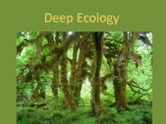 Deep Ecology