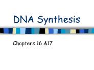 DNA Synthesis