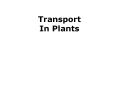 Transport In Plants PowerPoint PPT Presentation