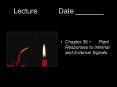Lecture   Date _______ PowerPoint PPT Presentation