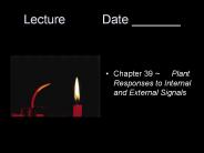 Lecture   Date _______