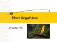 Plant Regulation PowerPoint PPT Presentation