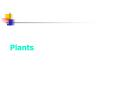 Plants PowerPoint PPT Presentation