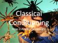 Classical Conditioning PowerPoint PPT Presentation