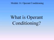 What is Operant Conditioning?