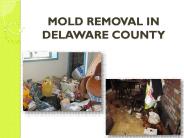 MOLD REMOVAL IN DELAWARE COUNTY