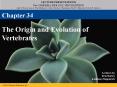 The Origin and Evolution of Vertebrates PowerPoint PPT Presentation