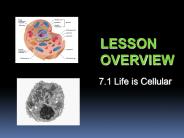 LESSON OVERVIEW