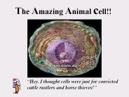 The Amazing Animal cell!!