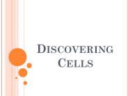 Discovering Cells