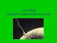 La C
