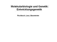 Neurobiology at the Adlerburg