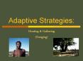 Adaptive Strategies: PowerPoint PPT Presentation