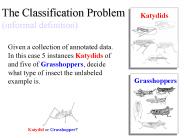 Grasshoppers