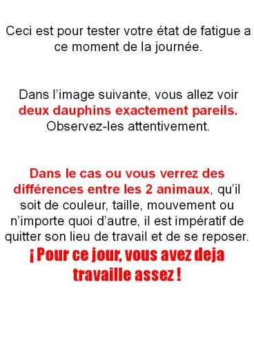 Ceci est pour tester votre 