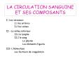 LA CIRCULATION SANGUINE ET SES COMPOSANTS PowerPoint PPT Presentation