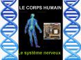 LE CORPS HUMAIN PowerPoint PPT Presentation