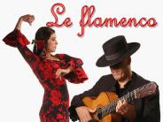 Le%20flamenco%20est%20issu