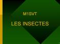 M1SVT LES INSECTES PowerPoint PPT Presentation