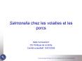 Salmonella chez les volailles et les porcs PowerPoint PPT Presentation