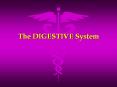 The%20DIGESTIVE%20System PowerPoint PPT Presentation