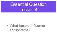 Essential Question Lesson 4