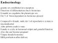Endocrinology PowerPoint PPT Presentation