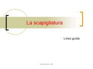 La scapigliatura