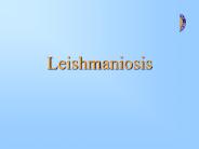Leishmaniosis