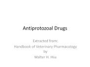 Antiprotozoal Drugs