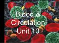 Blood PowerPoint PPT Presentation
