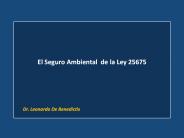 El Seguro Ambiental de la Ley 25675