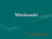 Mitokondri