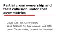 Partial cross ownership and tacit collusion under cost asymmetries PowerPoint PPT Presentation