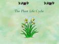 The Plant Life Cycle PowerPoint PPT Presentation