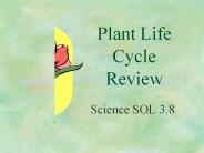 Plant%20Life%20Cycle%20Review