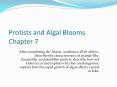 Protists and Algal Blooms Chapter 7 PowerPoint PPT Presentation