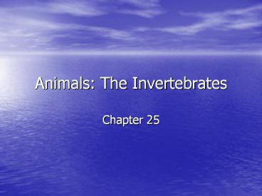Animals:%20The%20Invertebrates