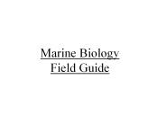 Marine Biology