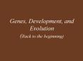 Genes, Development, and Evolution (Back to the beginning) PowerPoint PPT Presentation