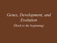 Genes, Development, and Evolution (Back to the beginning)