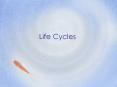 Life Cycles PowerPoint PPT Presentation