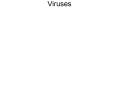 Viruses PowerPoint PPT Presentation